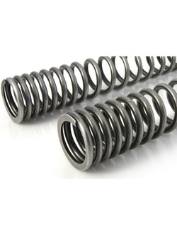 Zestaw sprężyn progresywnych przedniego zawieszenia widelca i amortyzatora Touratech do BMW RnineT Pure (17-)