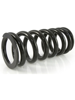 Zestaw sprężyn progresywnych przedniego zawieszenia widelca i amortyzatora Touratech do BMW R18 (20-)