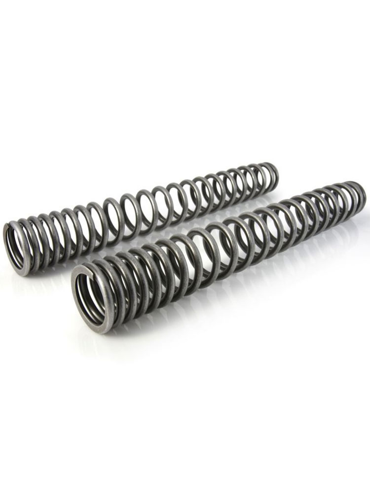 Zestaw sprężyn progresywnych przedniego zawieszenia widelca Touratech do BMW R100GS / R80GS Basic (88-96)